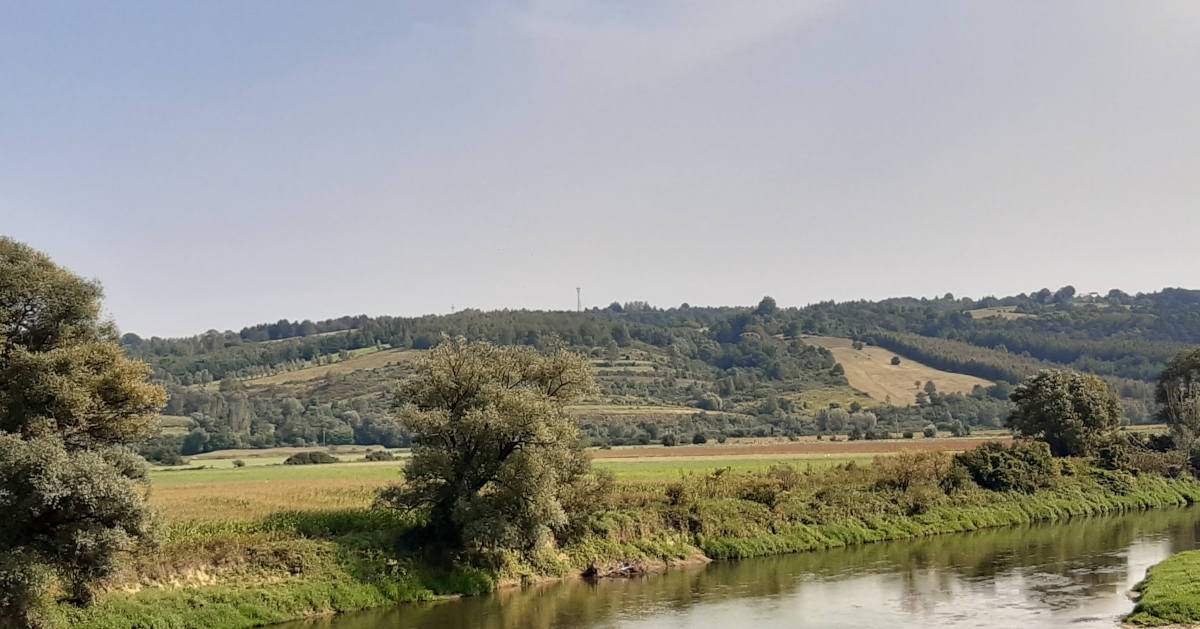 Panorama doliny Sanu koło Krzywczy
