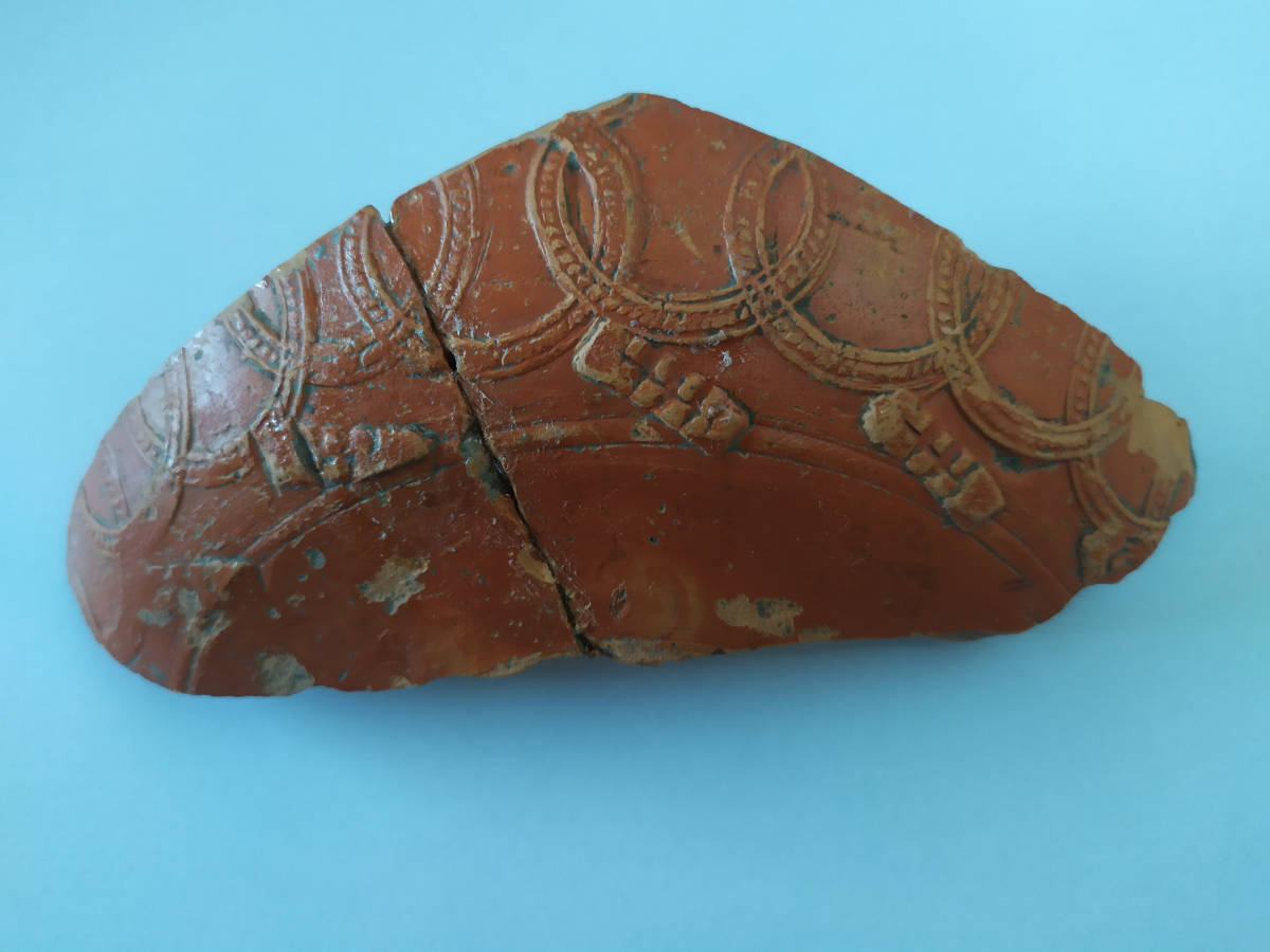 Fragment naczynia terra sigillata pochodzący za badań na stan. 130 (fot. Sabina Stempniak-Kusy).