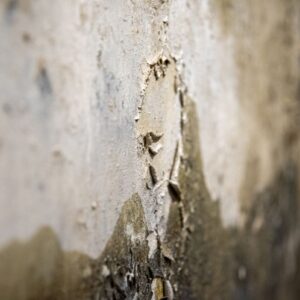 Barwa Brudu – wystawa malarstwa Elżbiety Moeller