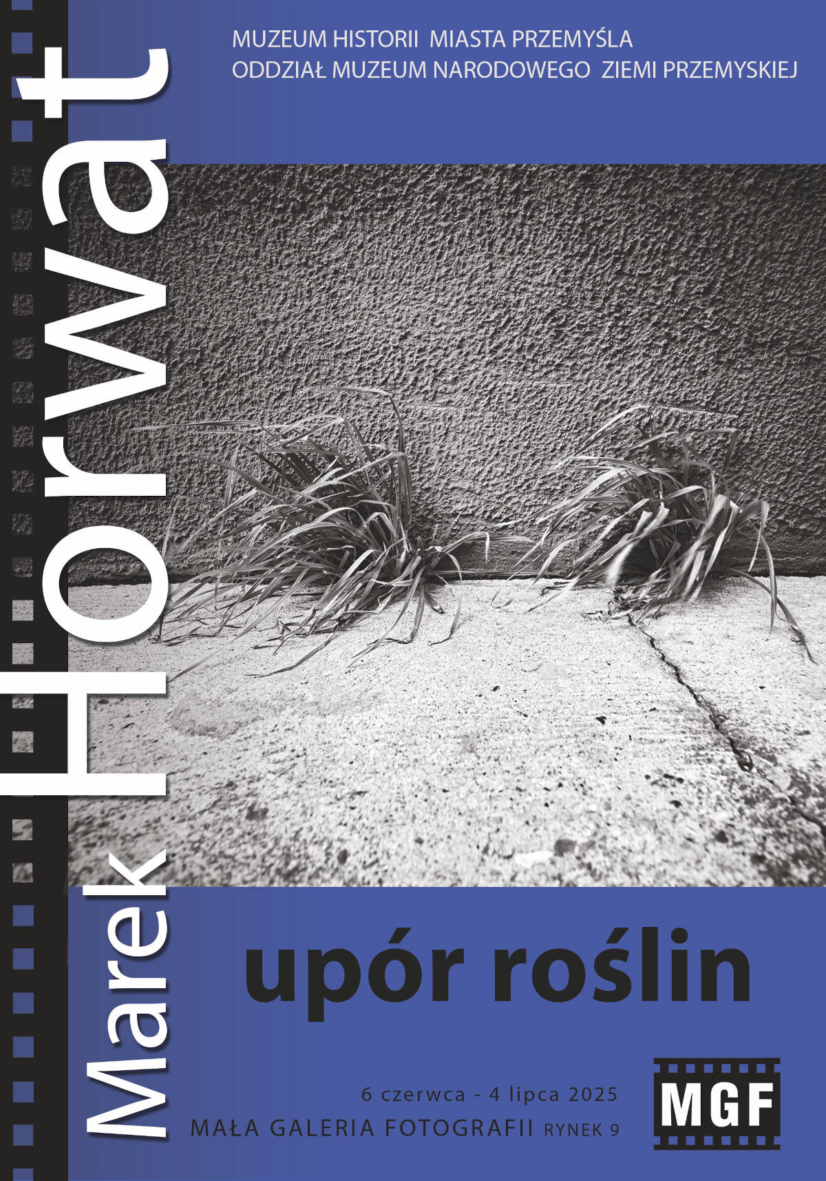Upór Roślin -Marek Horwat w Małej Galerii Fotografii