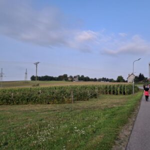 Rajd pieszy od Fortu VIII Łętownia do Fortu XI Duńkowiczki – 7.09.2025