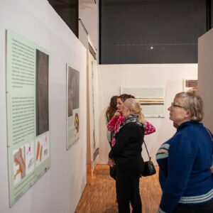 Grodzisko w Chotyńcu. Zachodnia brama Scytii