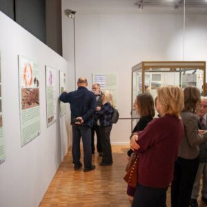 Grodzisko w Chotyńcu. Zachodnia brama Scytii