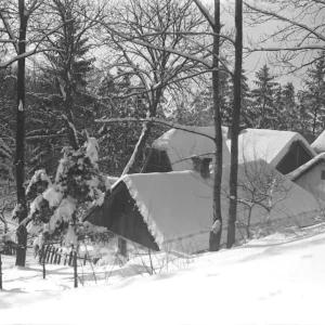 Krajobraz zimowy, fot. Adam Wysocki, ze zbiorów MNZP