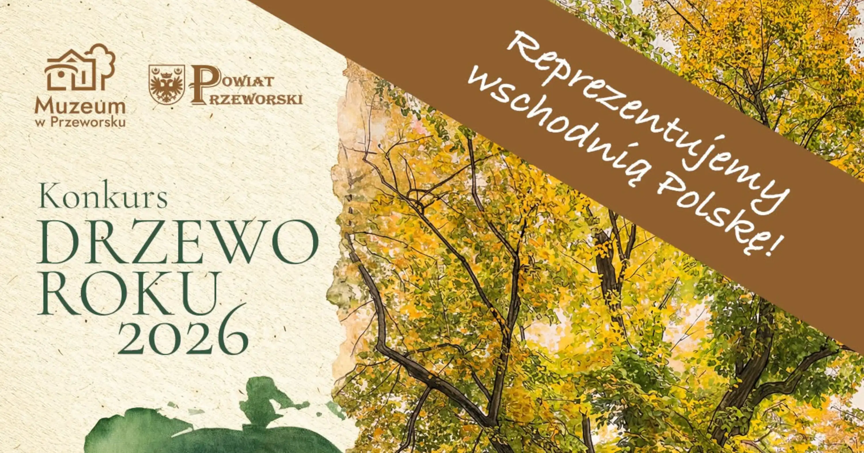 Lipa Sobieskiego Drzewo Roku 2026