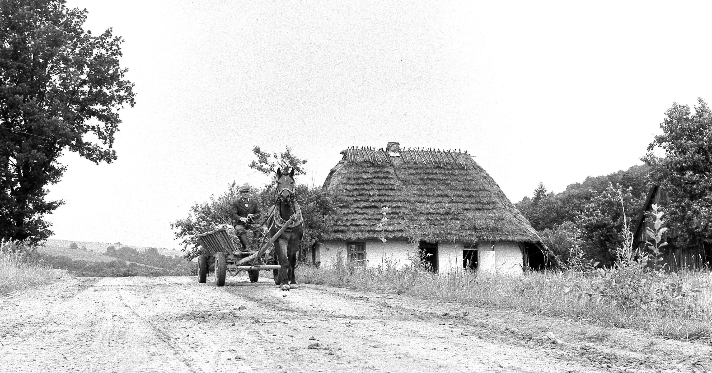 Życie miasta cz. 2 Wieś