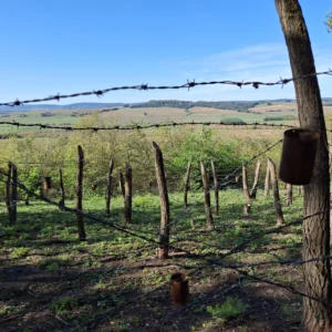 Muzealna wycieczka piesza „Śladami wojennych fortyfikacji”