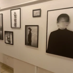 Katarzyna Leszczyńska-Kaszuba – „Cienie”