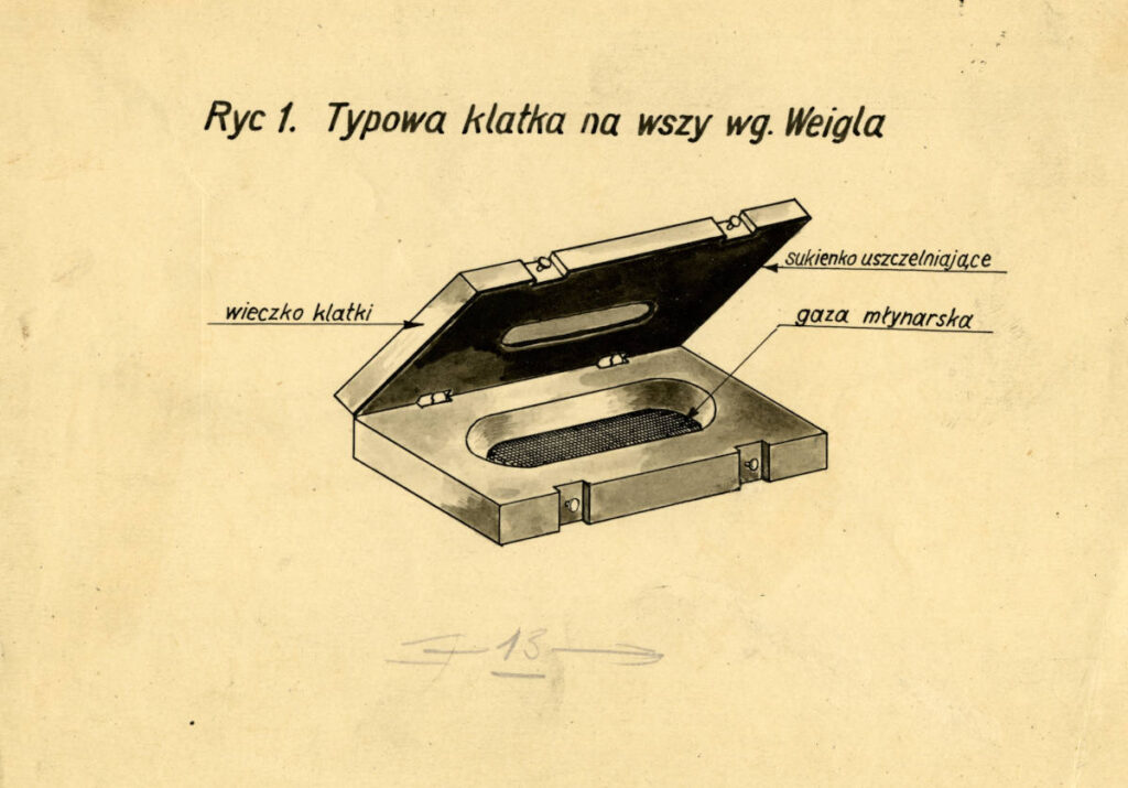 Rysunek przedstawiający klatkę na wszy typu Weigla, wykonany przez prof. Stefanię Pokorny, która przez długie lata prowadziła w Instytucie Weigla olbrzymią hodowlę zdrowych wszy dla celów wyrobu szczepionki. Zbiory MNZP, MP Hist.-814.